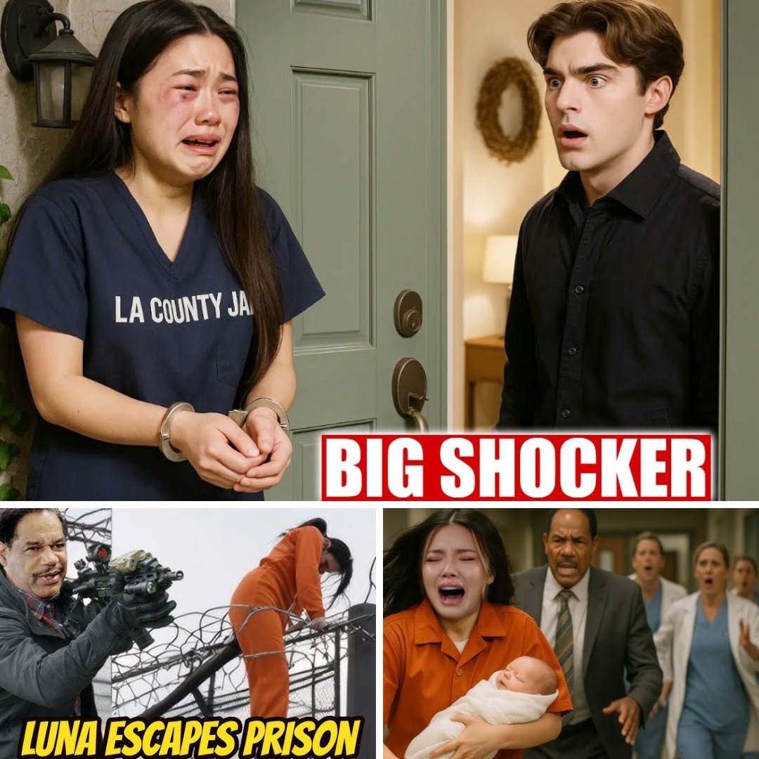 “I’M PREGNANT WITH THOMAS’S BABY!” Hope tearfully refused Liam’s proposal The Bold and the Beautiful