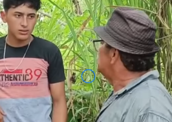 L1201001 Los encontraron en plena acción suegra yerno part2