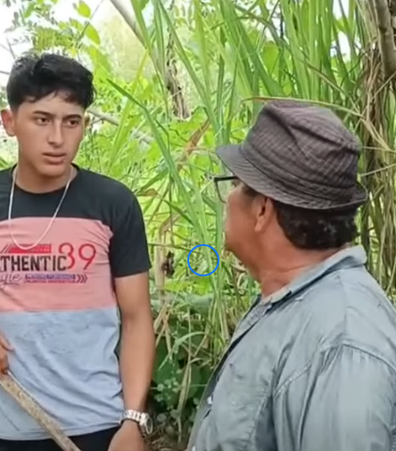 L1201001 Los encontraron en plena acción suegra yerno part2