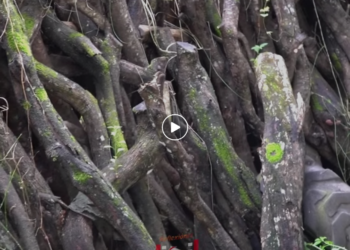 L1801005 Esta mujer hacía cosas indebidas con sus empleados a espaldas de su esposo