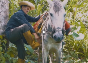 L1801003 Le echaron del trabajo por no saber leer ni escribir, hasta que paso esto part2