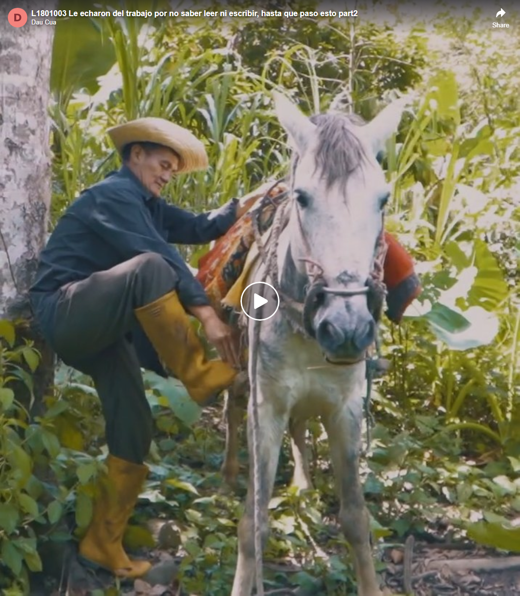 L1801003 Le echaron del trabajo por no saber leer ni escribir, hasta que paso esto part2