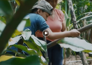 L1801004 Los humill0 por ser campesinos, sin pensar que terminaría así part2