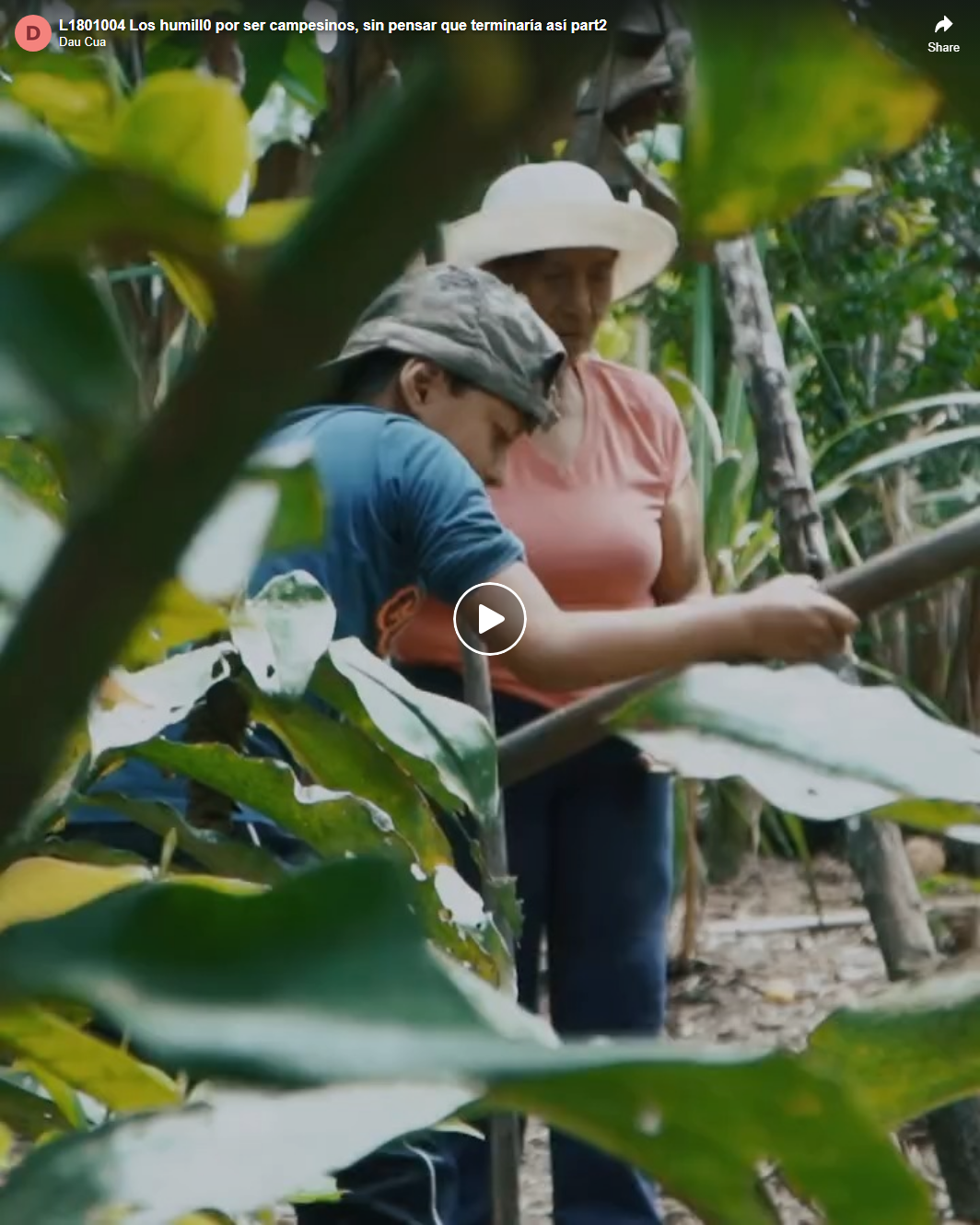 L1801004 Los humill0 por ser campesinos, sin pensar que terminaría así part2
