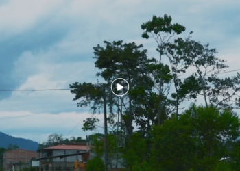 L1901002 Niño Malcri4d0 hace la vida imposible su madre ella tomó esta decisión part2