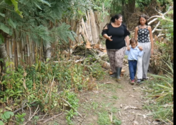 L2101002 Su yerno estaba dispuesto a darle todo