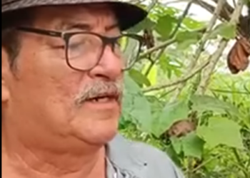 L0601005 Este desconocido embarazo las dos mellizas